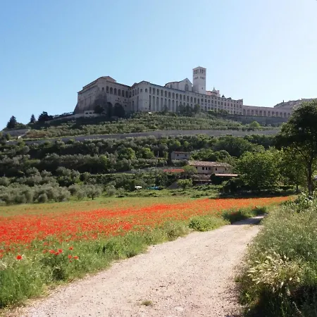 Cuore Di Francesco Santa Maria Degli Angeli (Assisi)